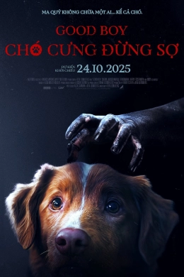 Chó Cưng Đừng Sợ